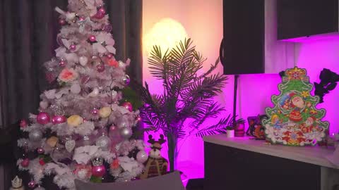 Amii online show from 12/25/24, 11:10