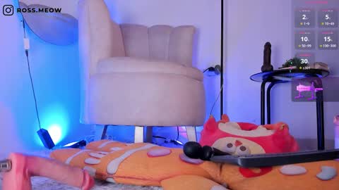 ross_meow online show from 03/06/26, 11:23