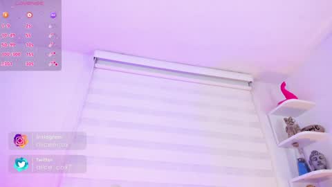   online show from 01/16/25, 11:15