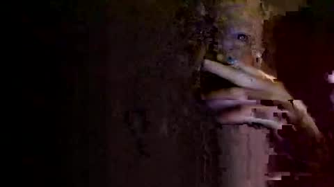 rotorranch online show from 10/02/25, 06:31