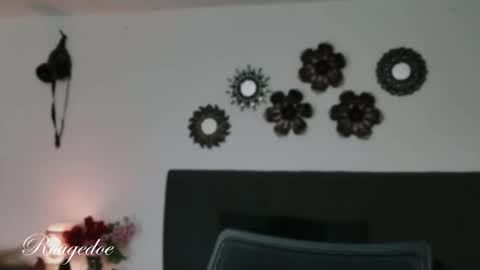 Snapshot of rougedoe chatting on 03/01/26, 02:13 Mistress Lana online show from 03/01/26, 02:13