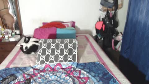 Snapshot of rousse_ellise1 chatting on 12/29/24, 02:49 rousse online show from 12/29/24, 02:49