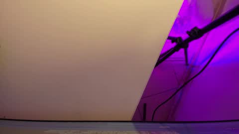 Roxane online show from 03/03/26, 03:34