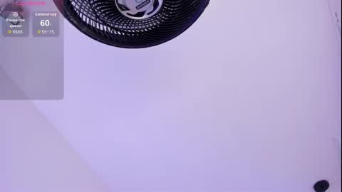 Roxie  online show from 03/16/26, 07:29