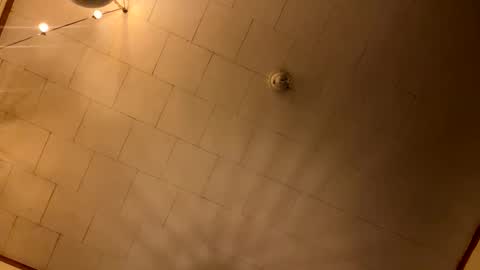 rp131313 online show from 01/10/26, 04:25