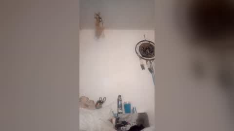 rraineonme online show from 06/19/26, 07:56
