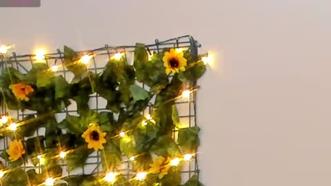 Rubby grace online show from 02/14/25, 04:37