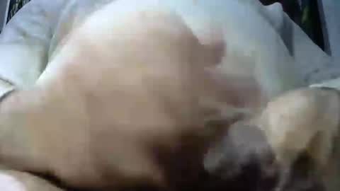 ruggy35 online show from 12/07/24, 07:38