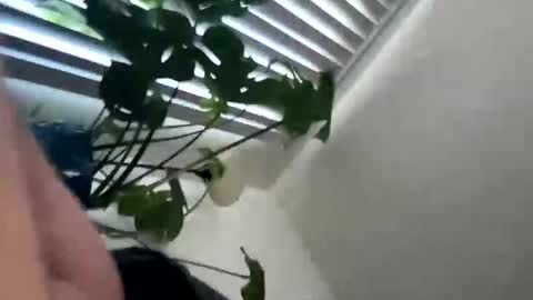 rula___1 online show from 02/04/26, 10:47