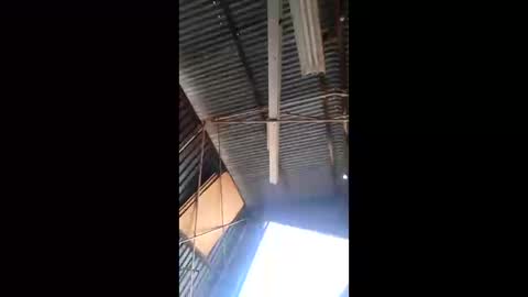 Snapshot of rustynuts95716 chatting on 03/10/26, 01:54 rustynuts95716 online show from 03/10/26, 01:54