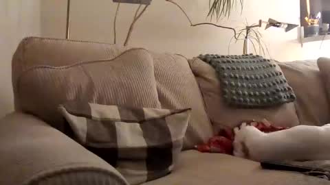 Rusty online show from 01/31/25, 03:52