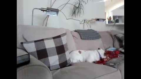 Rusty online show from 03/06/25, 04:07