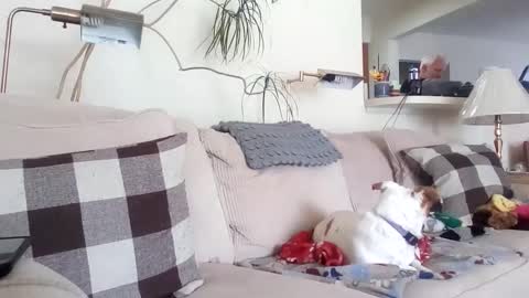 Rusty online show from 03/08/25, 06:58