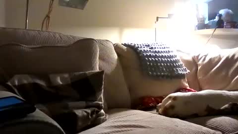 Rusty online show from 10/02/25, 01:34