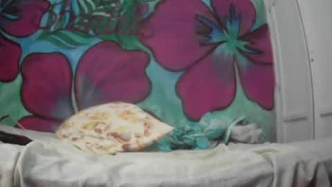 Snapshot of ryan_chocolate_horny chatting on 07/20/26, 12:58 Javier online show from 07/20/26, 12:58
