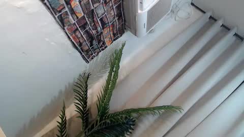 Snapshot of ryan_hyeson chatting on 01/26/25, 06:27 Its me Ryan online show from 01/26/25, 06:27