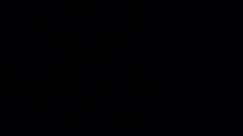 Ryland online show from 12/16/25, 04:39