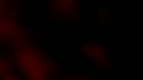 Snapshot of ryanstar7 chatting on 01/18/25, 08:10 Ryan Star online show from 01/18/25, 08:10