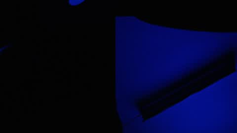 Snapshot of ryushi009 chatting on 01/10/25, 03:39 Ryushi009 online show from 01/10/25, 03:39