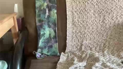 s3xkittenn online show from 04/20/26, 06:42