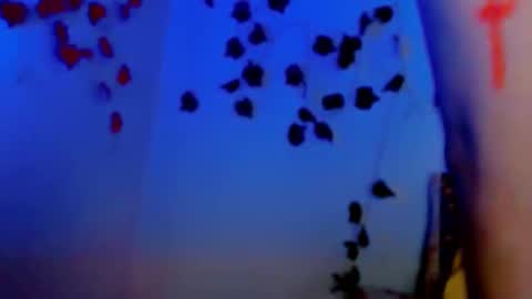 Snapshot of sabrinaexpositoxx chatting on 03/11/25, 12:39 SABRI online show from 03/11/25, 12:39