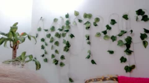 Snapshot of sabrinaexpositoxx chatting on 09/25/25, 05:11 SABRI online show from 09/25/25, 05:11