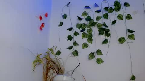 SABRI online show from 04/04/26, 03:09