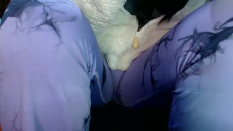 Karina online show from 03/31/26, 12:34