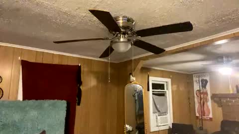 PupTwink online show from 10/10/25, 02:10