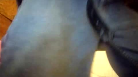 Penoso online show from 12/23/25, 02:31