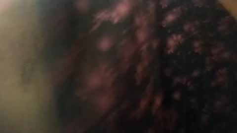 salmonman1305 online show from 01/17/25, 11:49