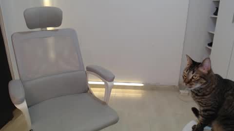 Salome online show from 10/19/25, 03:34