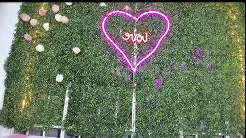 Snapshot of salome_domi chatting on 01/25/25, 10:50 salome online show from 01/25/25, 10:50