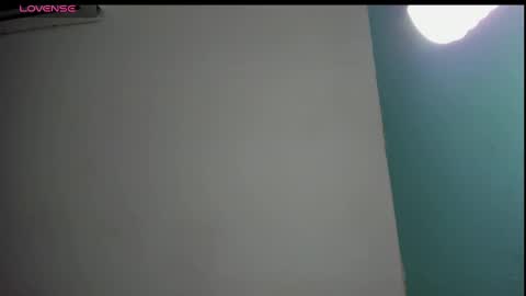 Snapshot of salome_domi chatting on 01/31/25, 08:22 salome online show from 01/31/25, 08:22