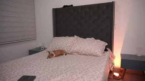 salomedyla online show from 03/19/26, 11:53