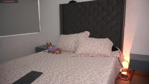 salomedyla online show from 04/16/26, 09:39