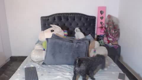 yenny online show from 01/06/26, 03:21