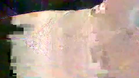 sam5554401727 online show from 02/25/26, 06:28