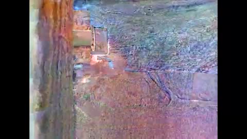 sam5554401727 online show from 04/26/26, 08:28