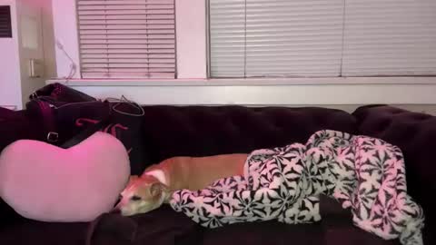 Snapshot of samanthafever chatting on 04/07/26, 11:54 samanthafever online show from 04/07/26, 11:54