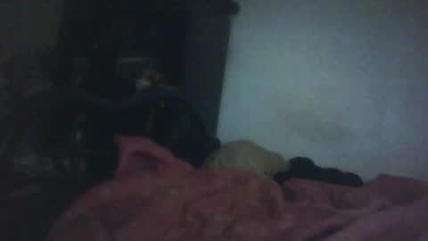 Samedisamedi1nouveau online show from 10/18/25, 11:33