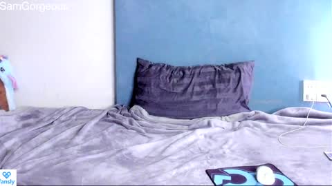 Snapshot of samgorgeous chatting on 12/15/24, 10:18 Fansly - Top4fans online show from 12/15/24, 10:18