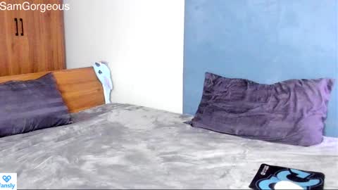 Snapshot of samgorgeous chatting on 12/17/24, 02:55 Fansly - Top4fans online show from 12/17/24, 02:55