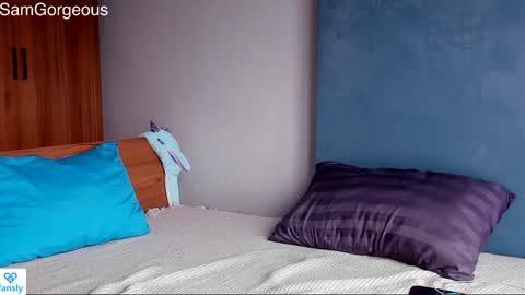 Snapshot of samgorgeous chatting on 12/28/24, 06:17 Fansly - Top4fans online show from 12/28/24, 06:17