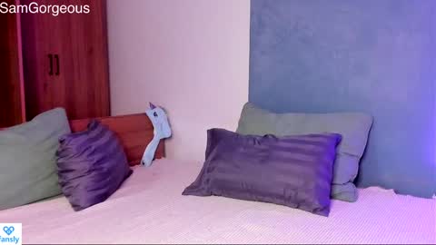 Snapshot of samgorgeous chatting on 01/12/25, 11:50 Fansly - Top4fans online show from 01/12/25, 11:50