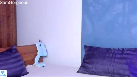 Snapshot of samgorgeous chatting on 01/21/25, 02:37 Fansly - Top4fans online show from 01/21/25, 02:37