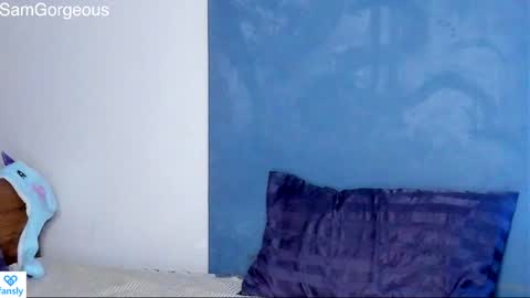 Snapshot of samgorgeous chatting on 01/30/25, 03:29 Fansly - Top4fans online show from 01/30/25, 03:29