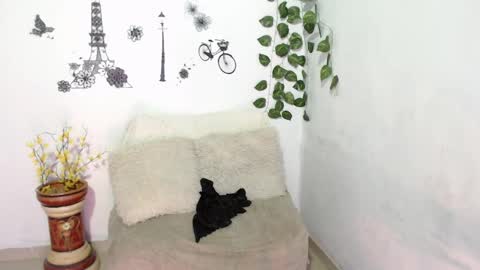 SAMIRA online show from 01/08/25, 01:42