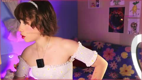 Sammy online show from 11/19/25, 03:50