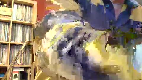 Sam online show from 11/08/25, 11:58